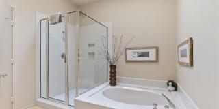 359 Desert Holly Drive Gallery 13