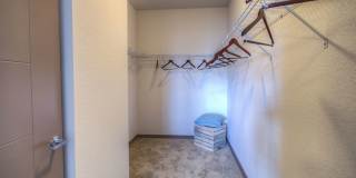 The Strand Gallery 12