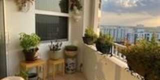 1340 S Ocean Boulevard Gallery 11