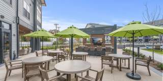 Canter Green Gallery 48