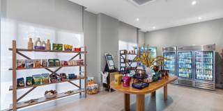 Arvella Gallery 124