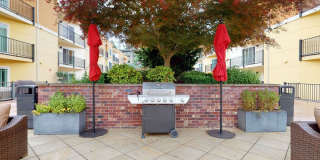 Ondine at Juanita Bay Gallery 34