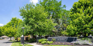 Butternut Ridge Gallery 41