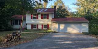 Newly renovated 4BR/2BA home, across from IU Stadium and Golf Course! Gallery 1