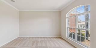 New Rental! Gallery 15