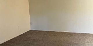 Port Au Fina (Saratoga Ave.) Gallery 10