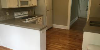 Right Across Street from Augusta University Summerville Campus! Gallery 4