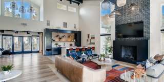 The Harlow Gallery 21