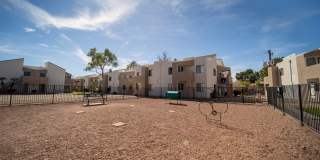 Desert Springs Gallery 8