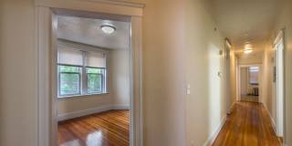 2-BED Allston Village Gallery 4