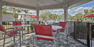 Barrington Place at Winter Haven Gallery 7