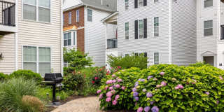 Avalon Garden City Gallery 46