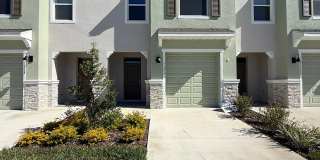 11374 Velvet Apricot Dr Gallery 1