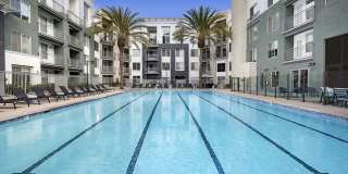 Main & Jamboree Apartments Gallery 4