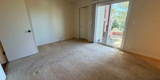 3 Bed and 3 Bath Home Located Off of Forest Ave Gallery 22