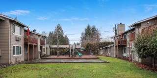 Applegate Gallery 25