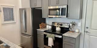 Allier Foley Gallery 2