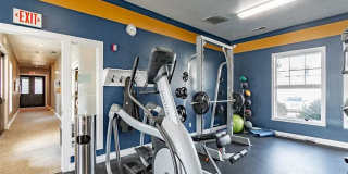 Elevate on Main Gallery 12