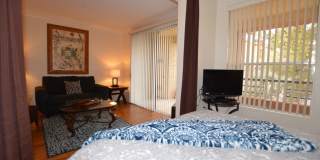 Charming Furnished Studio with Large Patio in the Heart of Las Vegas Gallery 12