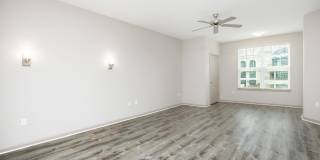 RIZE at Winter Springs Gallery 74