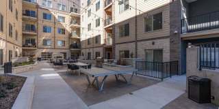 The Revival Gallery 17