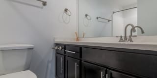 THE MODERN CACTUS Gallery 23