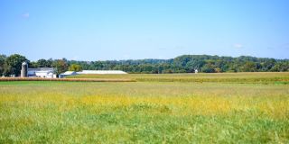 Madison Prickett Preserve Gallery 115