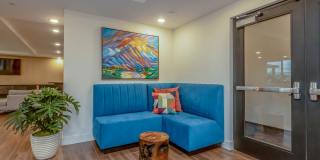 Vineyards Gallery 56