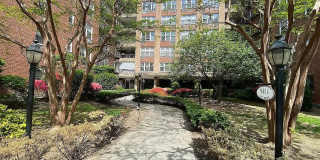 8344 Lefferts Blvd Apt 3C Gallery 1