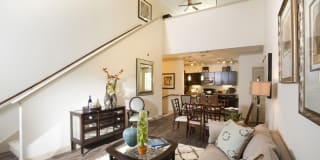 Braeswood Place Gallery 6