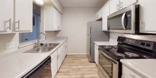 12th and Renaissance Gallery 5