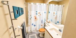 Annual Turnkey Furnished 1-bed 1-bath condo in the Meadows Gallery 16
