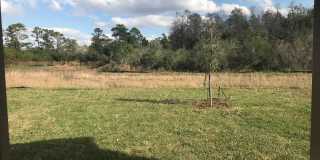 4 Bedroom, 2 Bath Home in Whaley Creek Gallery 16