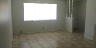 3905 FLORY #10 Gallery 8