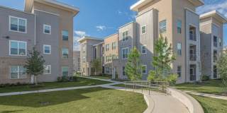 Territory at Greenhouse Gallery 31