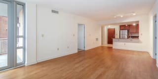 The Veridian Gallery 72