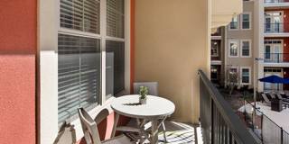 Linq at North Springs Gallery 35