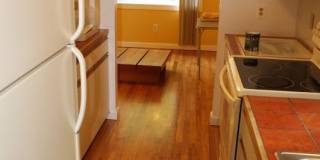 50 UNDINE Gallery 7