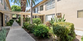 Parthenia Terrace Apartments Gallery 24