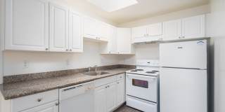 Juniper at Westlake Gallery 2