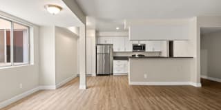 Jaclyn Terrace Gallery 23