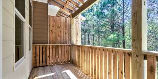 203 Riverstone Commons Cir Gallery 47