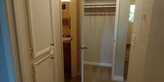 Chelan Gallery 39