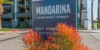 Mandarina Apartment Homes Gallery 42