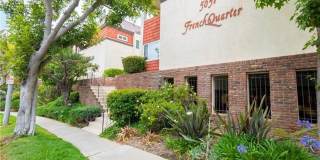 Newly Renovated 1Bedroom 1 Bath Gallery 1