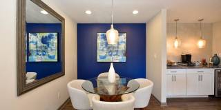 The Element Gallery 41