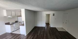 5040 Tujunga Avenue Gallery 3