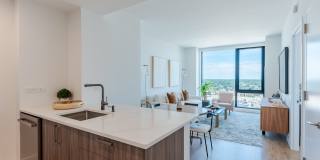 Stella Stella Gallery 1