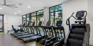 Bainbridge The Grand Gallery 15