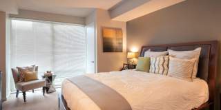 Concord Crystal City Gallery 6